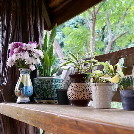 Lanna House บ้านลานนา เชียงดาว Exterior photo