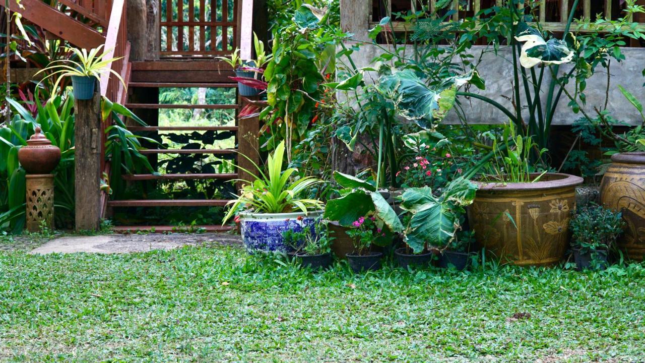 Lanna House บ้านลานนา วันหยุดที่บ้าน เชียงดาว